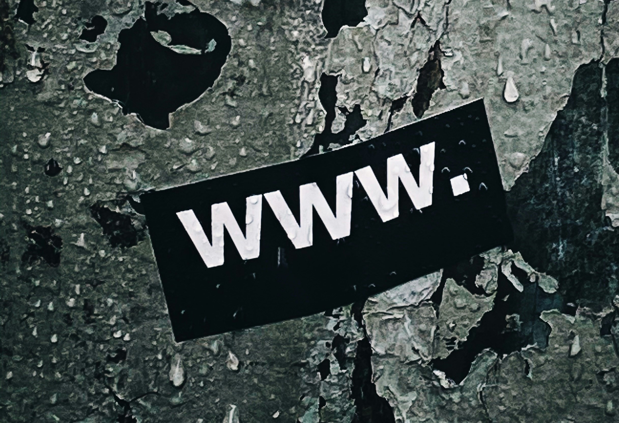 DNS Lookup